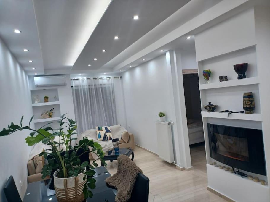 Cozy Renovated Apartment Athens Ngoại thất bức ảnh