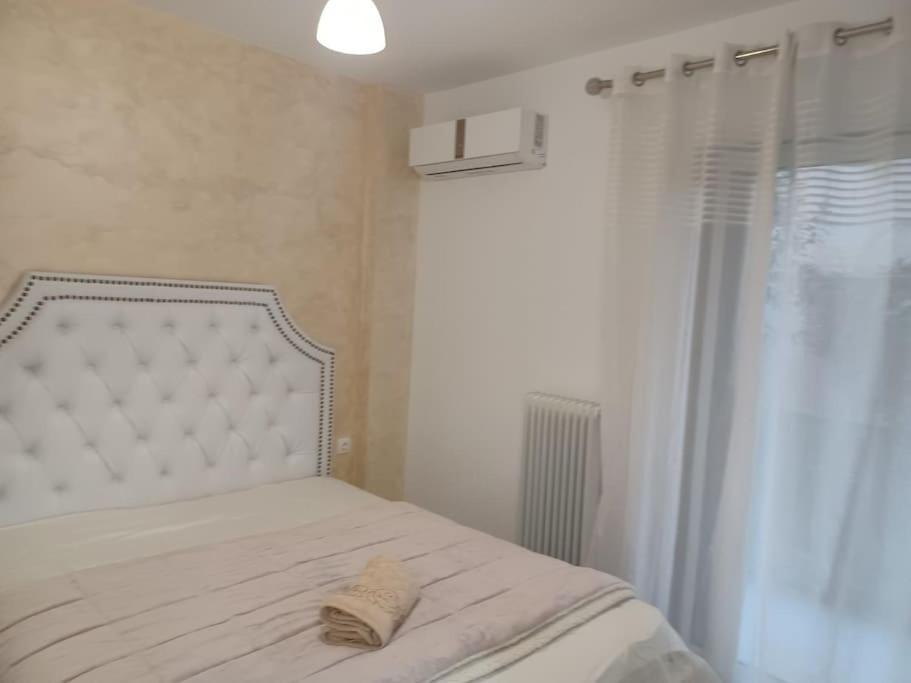 Cozy Renovated Apartment Athens Ngoại thất bức ảnh